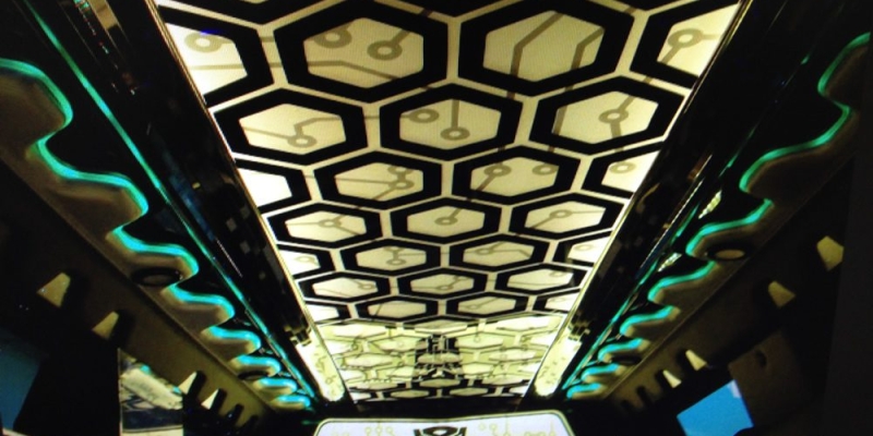 Limo Inside 12